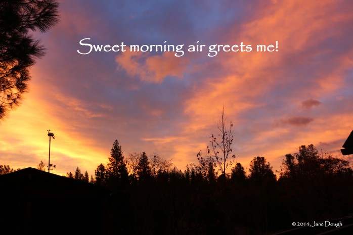 Sweet morning air